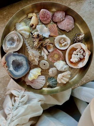 Léto chytilo druhý dech, dovolená začíná 🛥️⛱️🛫🏝️ Nezapomeň vyladit svůj outfit 👌na e-shopu stále akce 2+1 💕